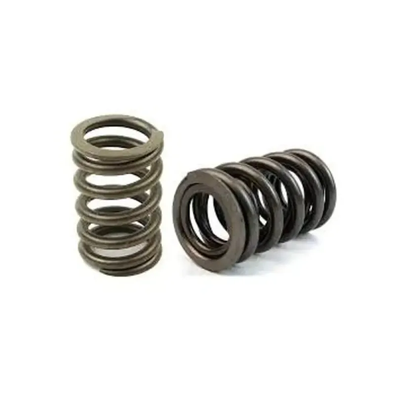 Ventilfjærkit Race M50