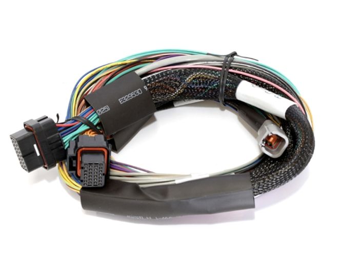 Hovedbilde Haltech Elite 2500 + Ledningsnett ...